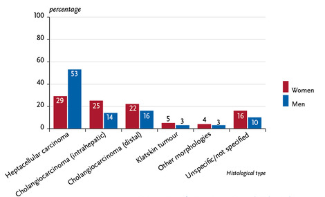 Distribution of malignant neoplasms of the liver and biliary tracts by histological type and sex, ICD-10 C22 and C24, Germany 2015–2016. Source: © German Centre for Cancer Registry Data at the Robert Koch Institute