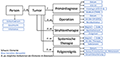 Abb.1: Vereinfachtes Datenschema (mit ausgewählten Variablen)