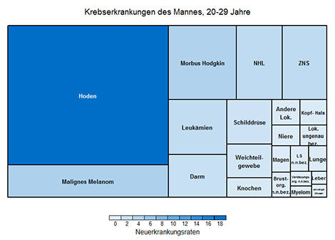 Altersspezifische Erkrankungsraten (je 100.000, rohe Rate), Männer, Deutschland 2014 (ohne nicht-melanotischen Hautkrebs)