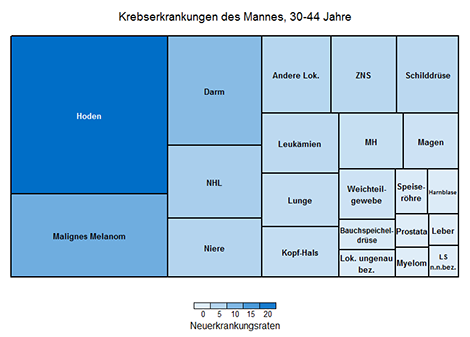 Altersspezifische Erkrankungsraten (je 100.000, rohe Rate), Männer, Deutschland 2014 (ohne nicht-melanotischen Hautkrebs)